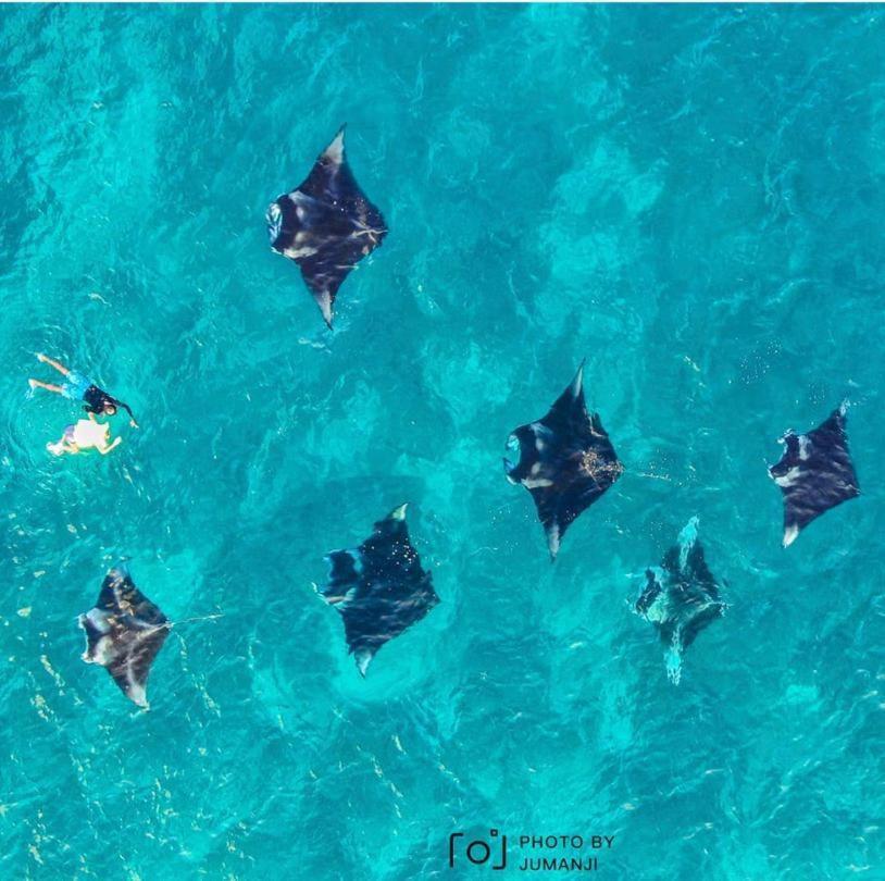 Kingsway Thoddoo Maldives Otel Dış mekan fotoğraf